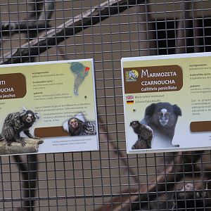 Marmoset Signage