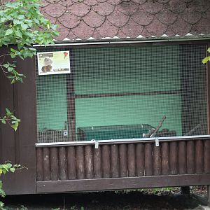Domesticated Guineapig Cage