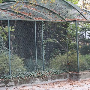Bird Aviary