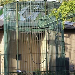 Primate Cage & Catwalk