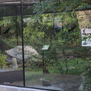 Turtle/Tortoise Enclosure