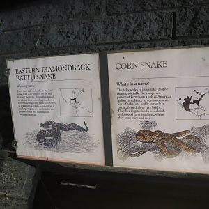 Reptile House Signage Example