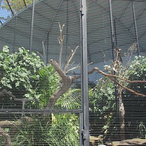 Amazon Aviary Interior