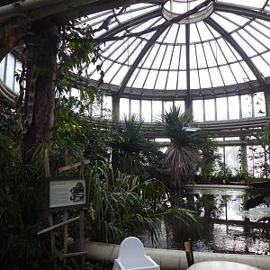 Walkthrough bird conservatory in the Rivièrahal