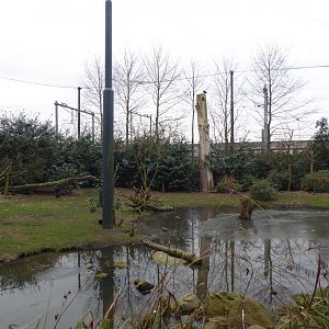 Walkthrough vulture aviary