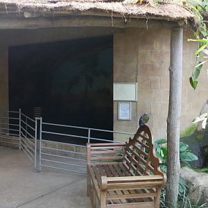 Former Egyptian Fruit Bat Enclousre in Eureka!