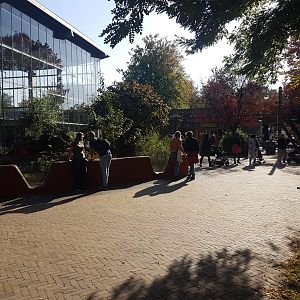 Small-clawed otter-enclosure