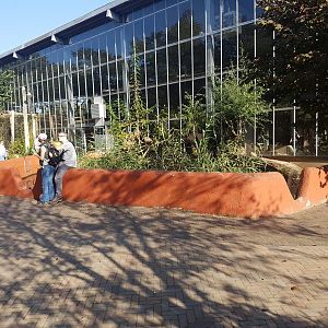 Small-clawed otter enclosure