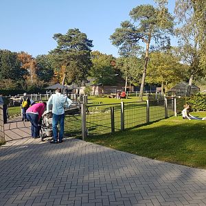 Farm-animal enclosures