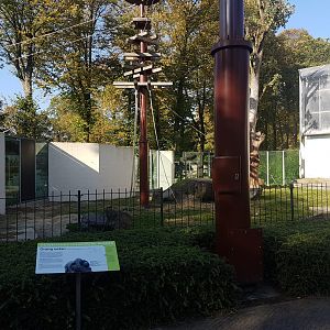 Orang utan-enclosure