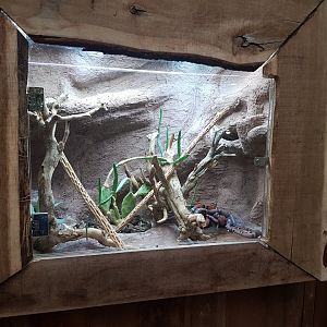 Milksnake enclosure