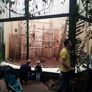 Macaw indoorenclosure