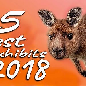 Top 5 Best Exhibits of 2018