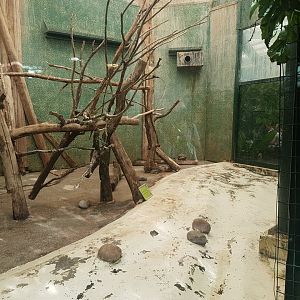 Empty indoor enclosure ( ibisses )