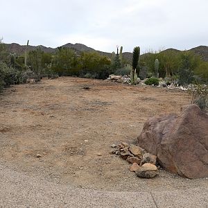 demolition near cactus garden