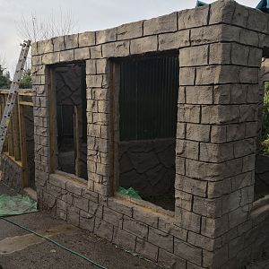 Parrot complex Construction