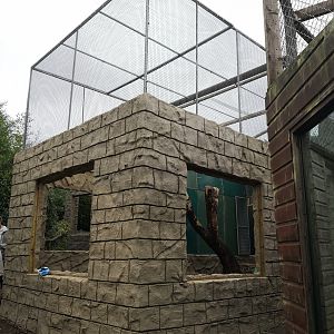 Parrot Complex Construction