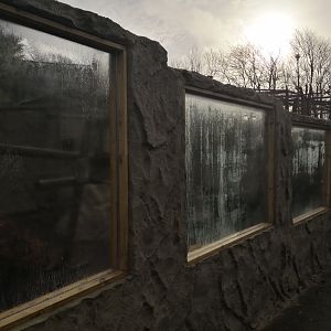 Porcupine Construction