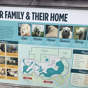 Polar bear signage