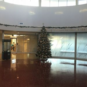 Christmas Decorations