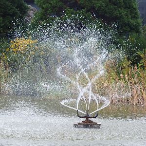 Strange fountain (Nov 10th, 2018)