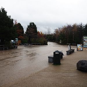 Main pathway near the gift shop (Nov 10th, 2018)