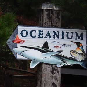 Oceanium road sign (Nov 10th, 2018)