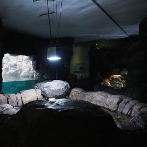 North Sea area in the Oceanium (Nov 10th, 2018)