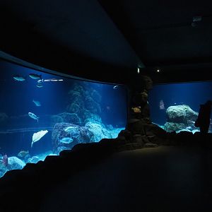 View of North Sea tanks (Nov 10th, 2018)