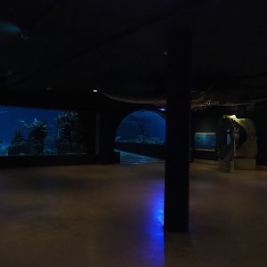 View towards tunnel tank (Nov 10th, 2018)