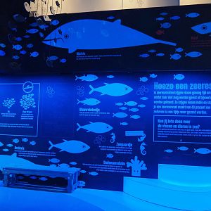 Sea reserves exhibition (Nov 10th, 2018)