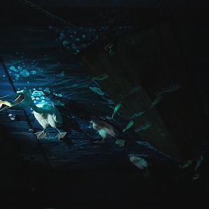 Kinda strange ceiling theming (Nov 10th, 2018)