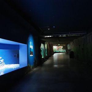 View from reef tanks towards Caribbean area in Oceanium (Nov 10th, 2018)