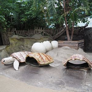 Sea turtle themed playground area (Nov 10th, 2018)