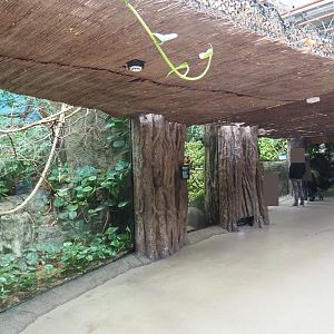 View of South American terrarium exhibits (Nov 10th, 2018)
