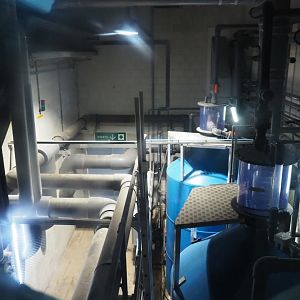 View into filtration room (Nov 10th, 2018)