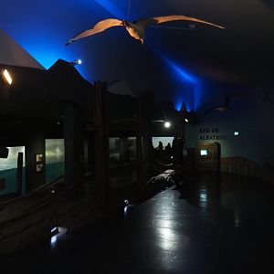 Walkway towards penguin exhibit (Nov 10th, 2018)