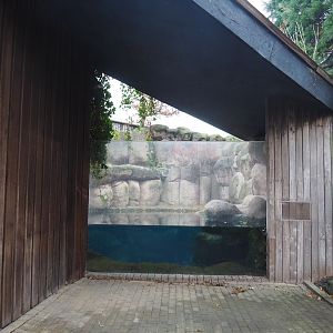 One of two former sea otter exhibits (Nov 10th, 2018)