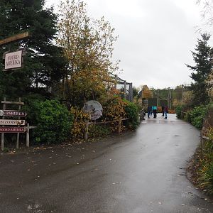 Entrance to Arctica area (Nov 10th, 2018)