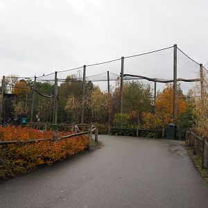 View towards Steller's sea eagle aviary (Nov 10th, 2018)