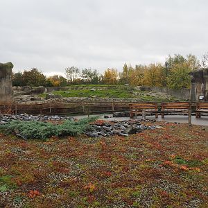 View towards polar bear exhibits (Nov 10th, 2018)