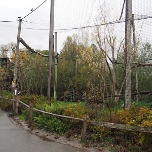 Steller's sea eagle aviary (Nov 10th, 2018)