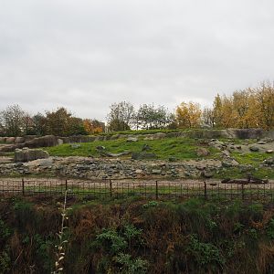 First polar bear exhibit (Nov 10th, 2018)