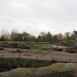 Second polar bear exhibit (Nov 10th, 2018)