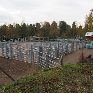 American plains bison separation paddocks (Nov 10th, 2018)