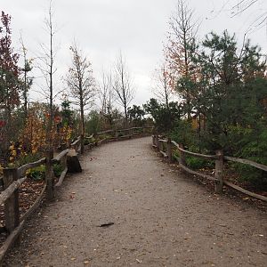 Dead-end road to American plains bison paddocks viewing area (Nov 10th, 2018)