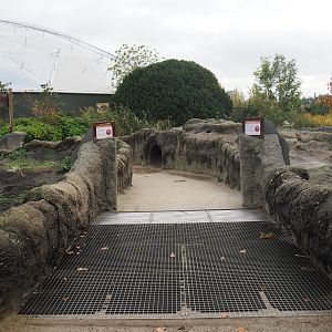 Black-tailed prairie dog walkthrough exhibit (Nov 10th, 2018)