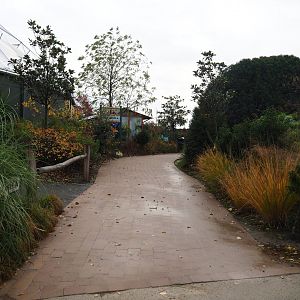 Route to the Amazonica house (Nov 10th, 2018)