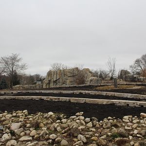 New rock formations in Bison yard