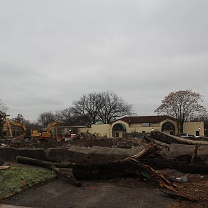 Baboon Island Demolation